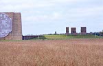 PARCS from N, power plant