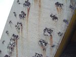 Mont. PAR antenna wall detail (closeup)