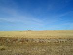 Distant view, Mont. PAR from S