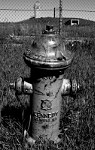 RSL 1 fire hydrant & RLOB